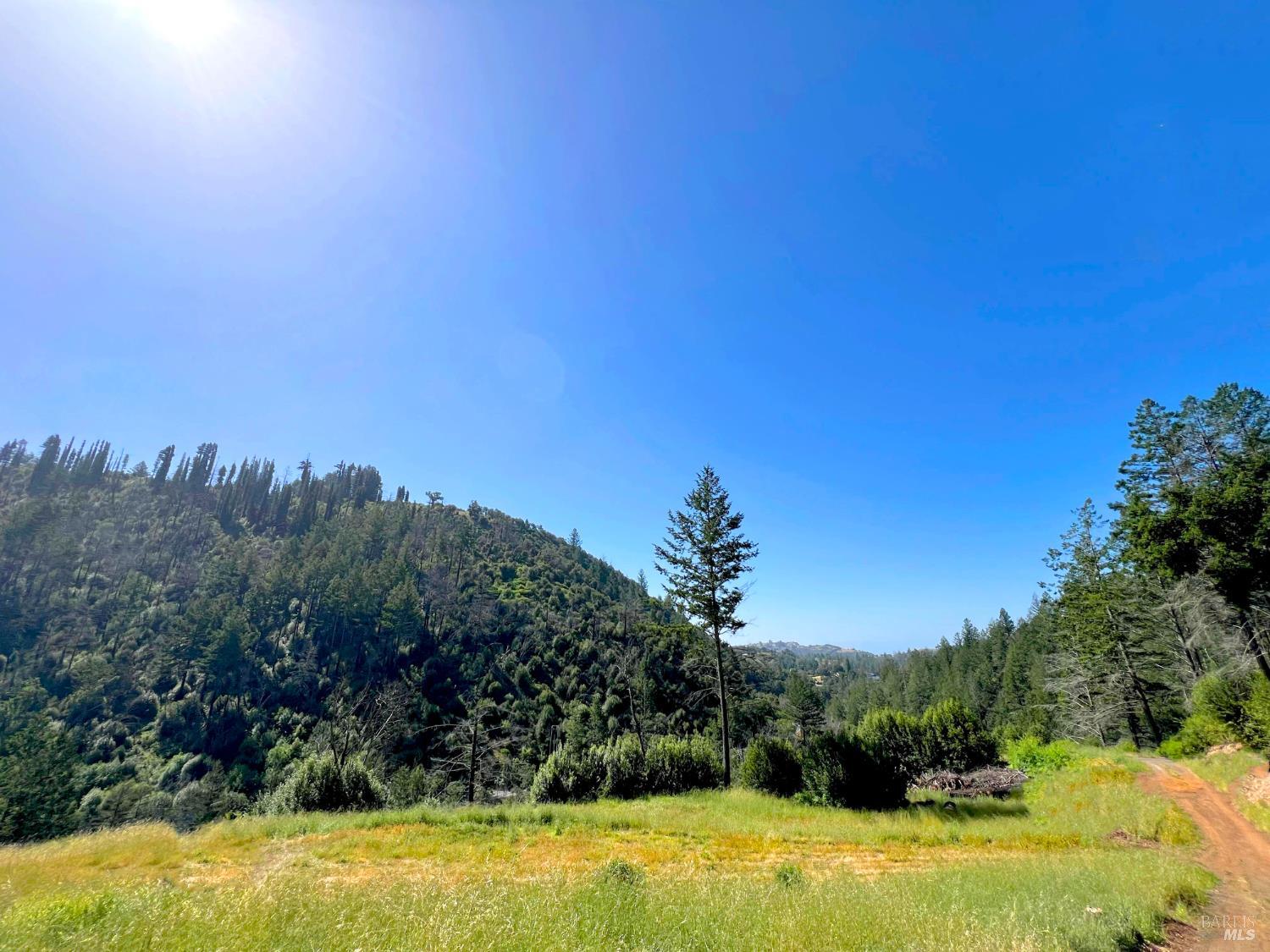 Detail Gallery Image 12 of 29 For 2095 Mark West Springs Rd, Santa Rosa,  CA 95404 - – Beds | – Baths