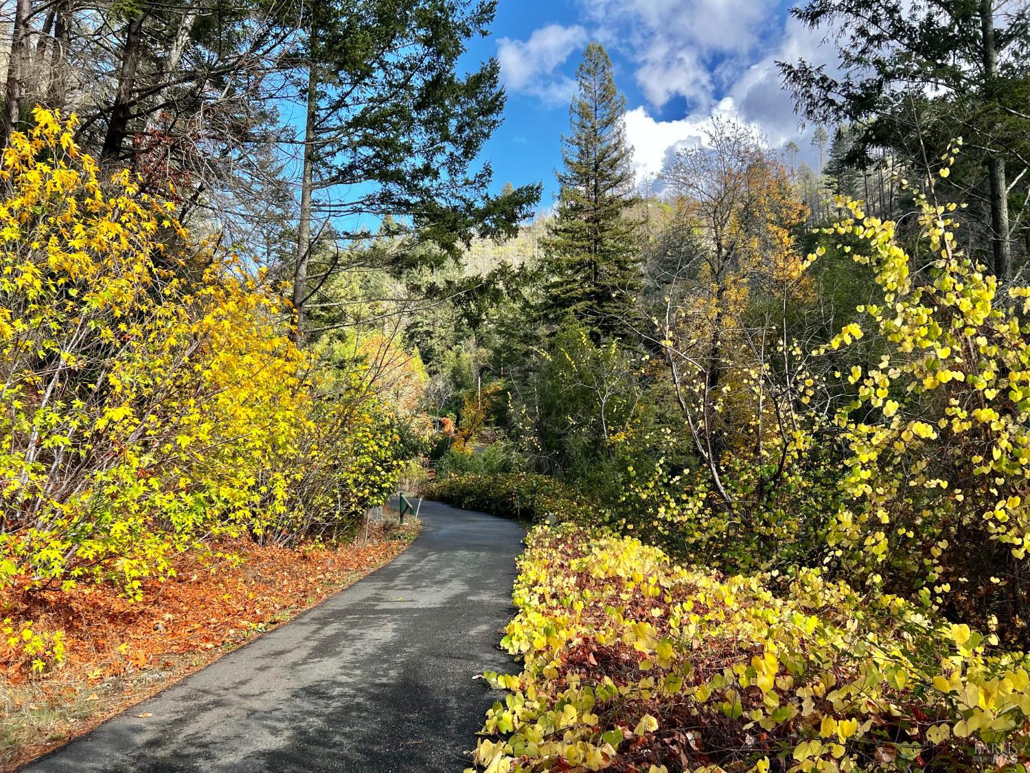 Detail Gallery Image 4 of 29 For 2095 Mark West Springs Rd, Santa Rosa,  CA 95404 - – Beds | – Baths