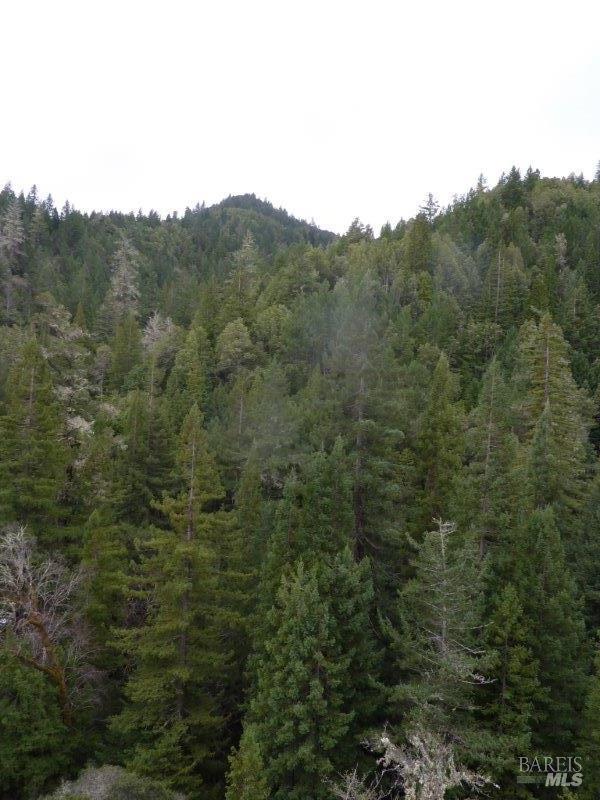 Detail Gallery Image 2 of 19 For 4225 Reeves Canyon Rd, Redwood Valley,  CA 95470 - – Beds | – Baths