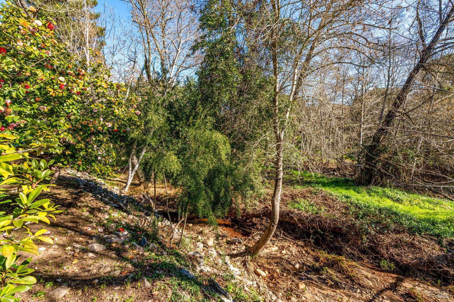 Detail Gallery Image 53 of 73 For 162 Bonnie Brook Dr, Napa,  CA 94558 - 2 Beds | 2 Baths