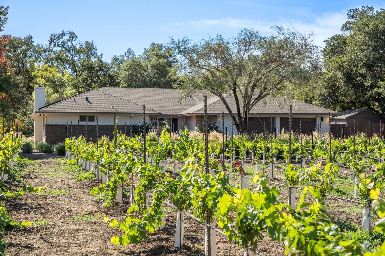 Detail Gallery Image 70 of 72 For 3033 Myrtledale Rd, Calistoga,  CA 94515 - 4 Beds | 4 Baths