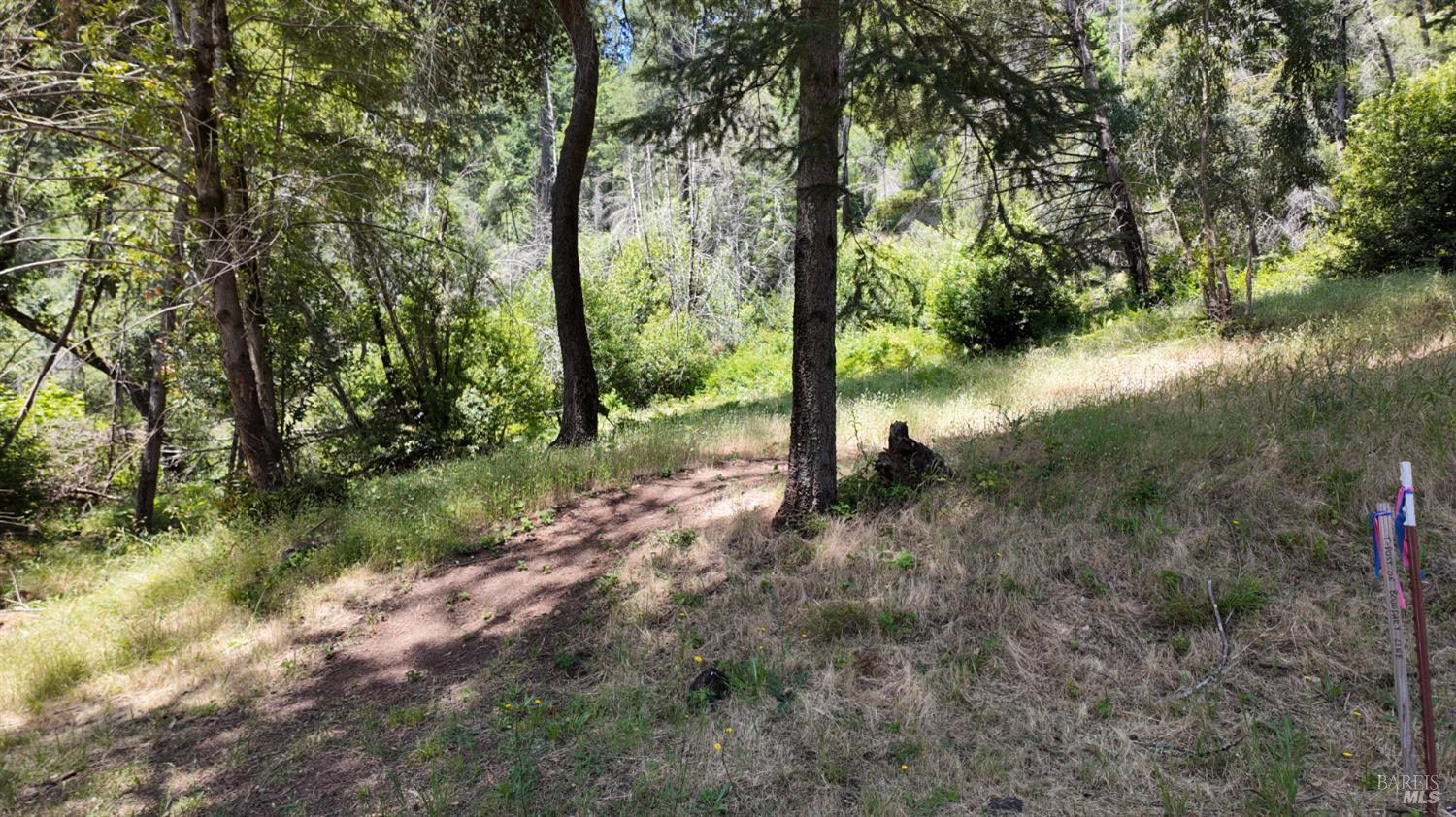 Detail Gallery Image 28 of 29 For 2095 Mark West Springs Rd, Santa Rosa,  CA 95404 - – Beds | – Baths