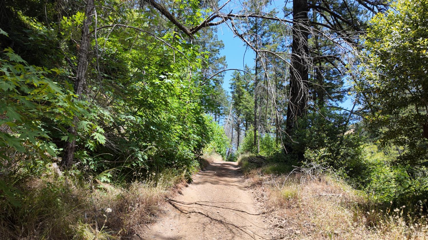 Detail Gallery Image 19 of 29 For 2095 Mark West Springs Rd, Santa Rosa,  CA 95404 - – Beds | – Baths