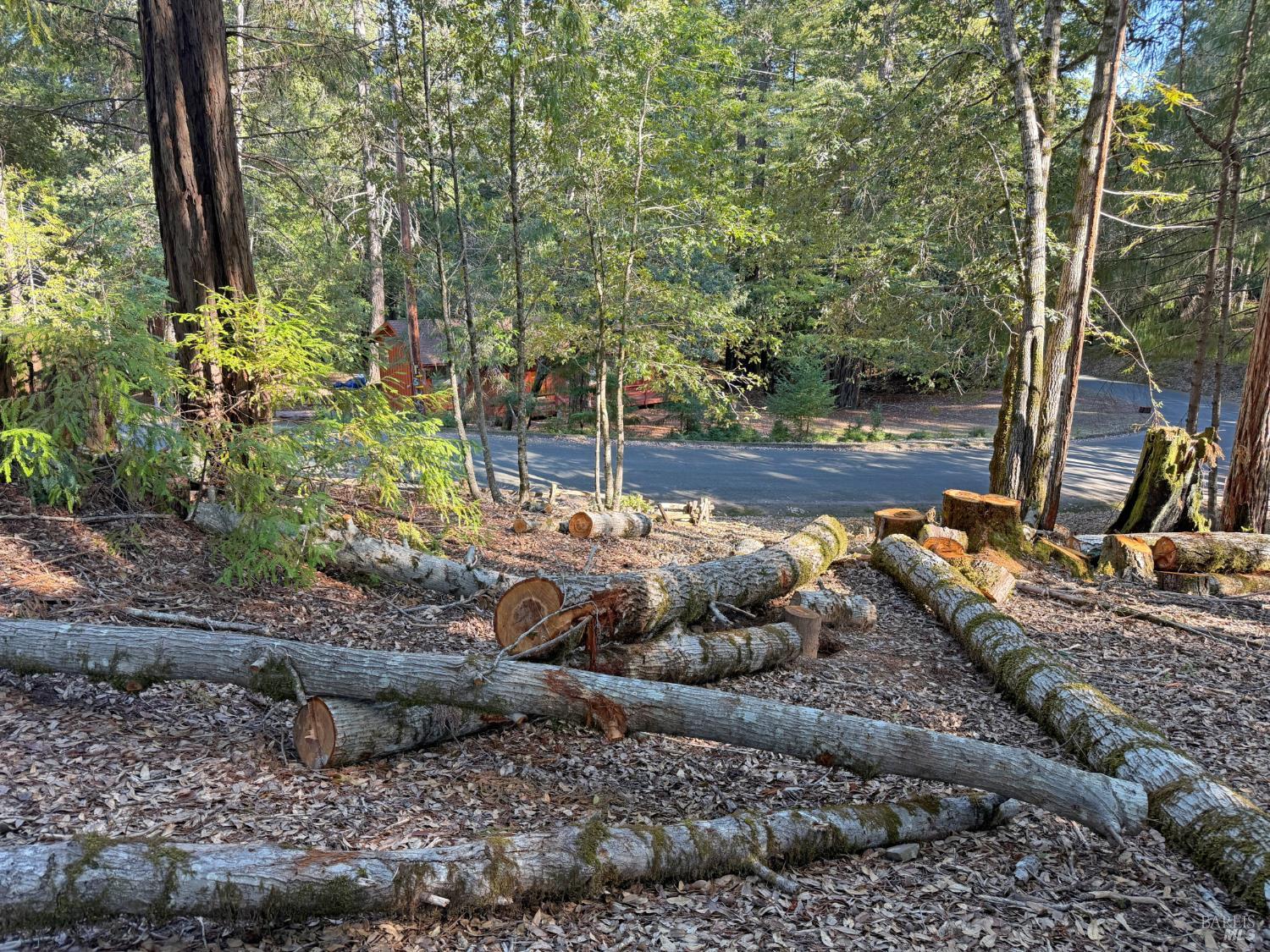 Detail Gallery Image 7 of 9 For 1920 Perch Rd, Willits,  CA 95490 - – Beds | – Baths