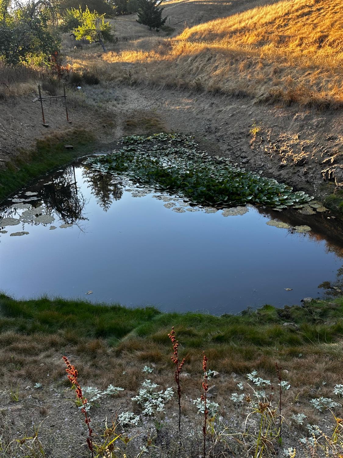 Detail Gallery Image 33 of 45 For 13333 Low Gap Rd, Ukiah,  CA 95482 - 5 Beds | 2/1 Baths