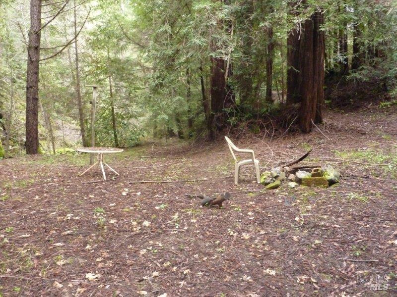 Detail Gallery Image 5 of 19 For 4225 Reeves Canyon Rd, Redwood Valley,  CA 95470 - – Beds | – Baths