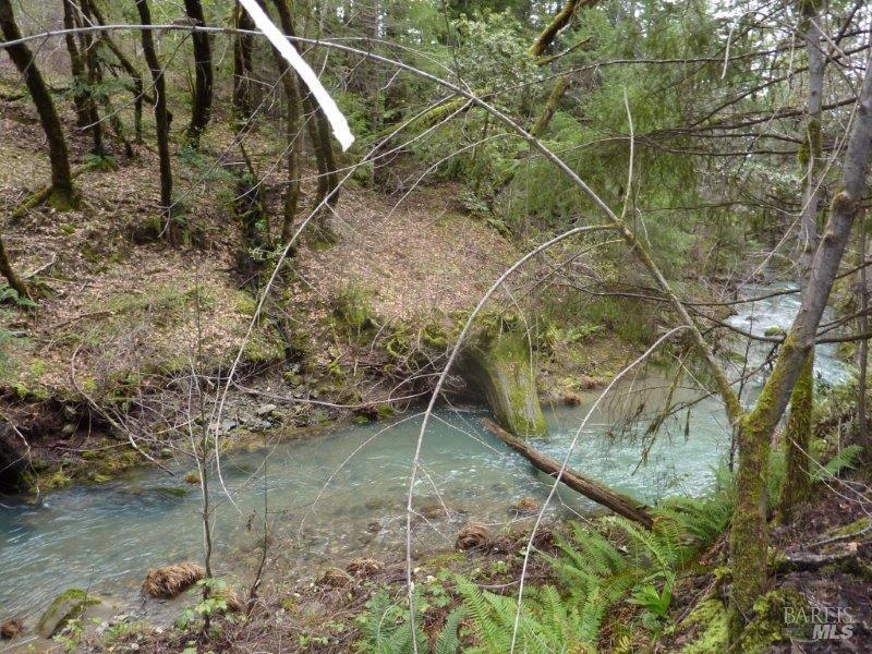 Detail Gallery Image 16 of 19 For 4225 Reeves Canyon Rd, Redwood Valley,  CA 95470 - – Beds | – Baths