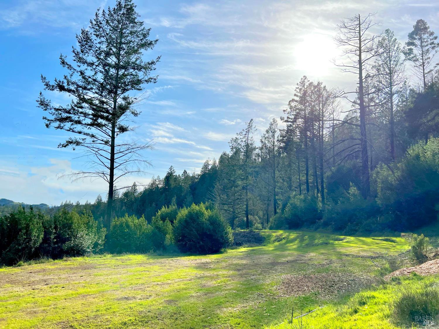 Detail Gallery Image 8 of 29 For 2095 Mark West Springs Rd, Santa Rosa,  CA 95404 - – Beds | – Baths