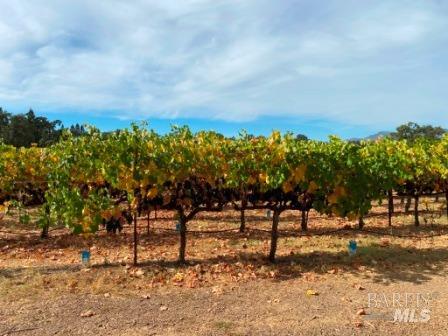 Detail Gallery Image 62 of 68 For 1180 Monticello Rd, Napa,  CA 94558 - – Beds | – Baths