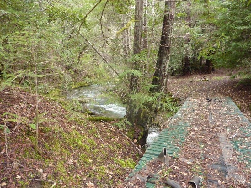 Detail Gallery Image 3 of 19 For 4225 Reeves Canyon Rd, Redwood Valley,  CA 95470 - – Beds | – Baths