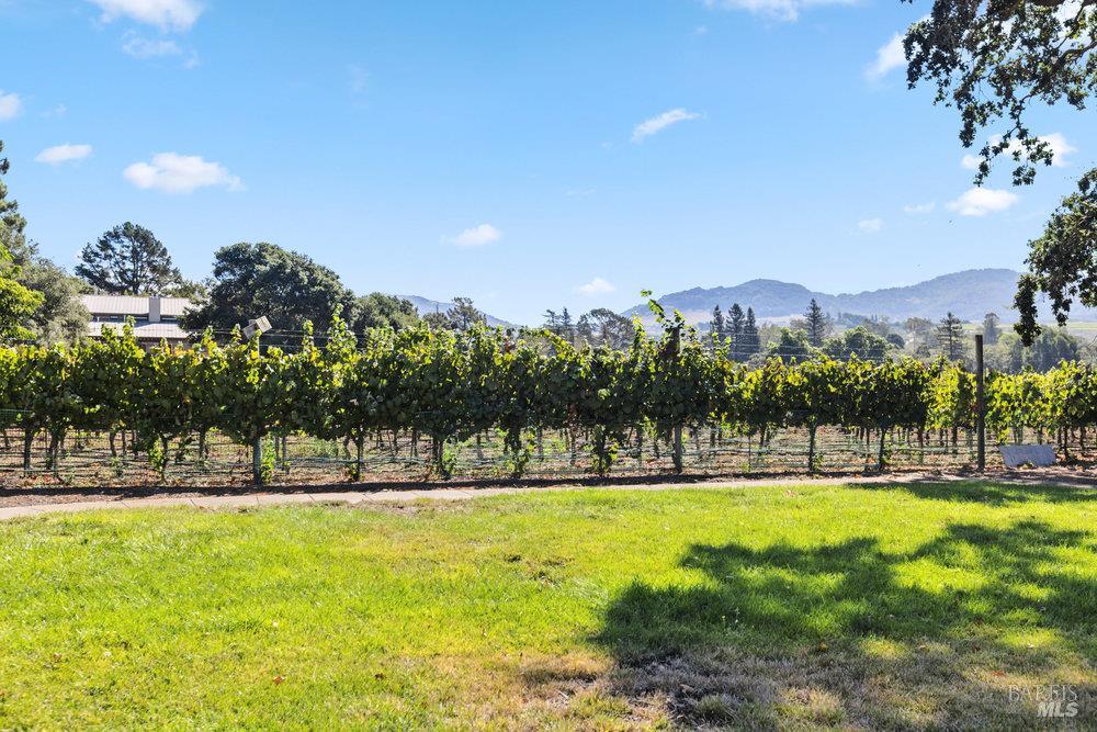 Detail Gallery Image 45 of 61 For 1022 Berry Ln, Napa,  CA 94558 - 4 Beds | 3 Baths