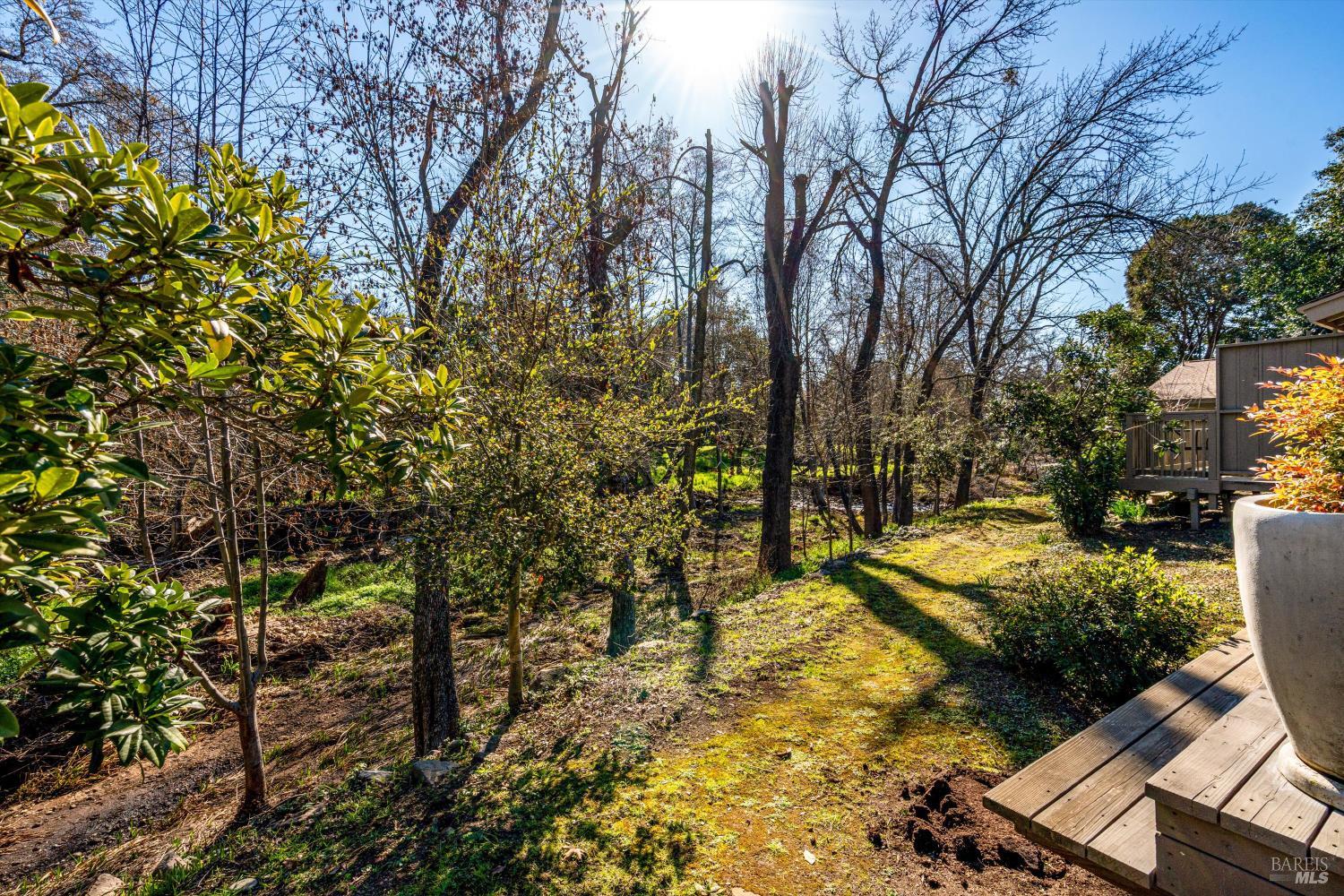 Detail Gallery Image 52 of 73 For 162 Bonnie Brook Dr, Napa,  CA 94558 - 2 Beds | 2 Baths