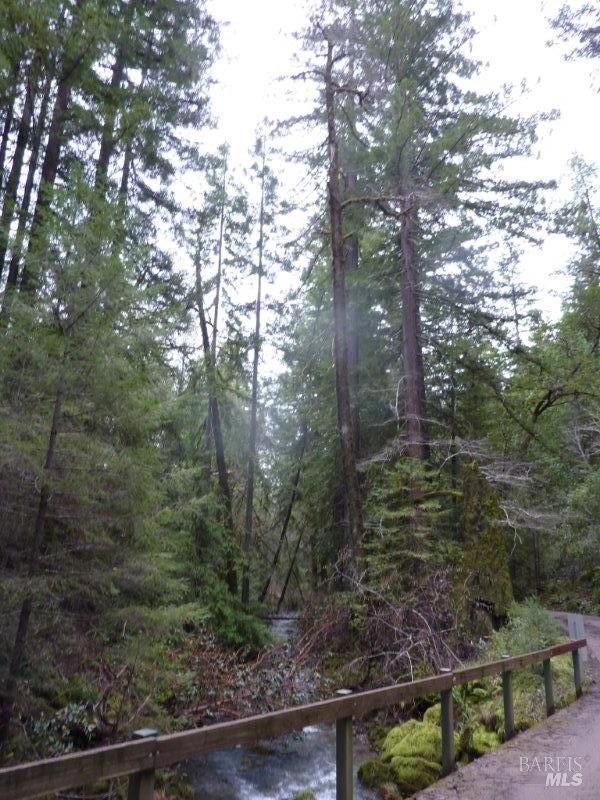 Detail Gallery Image 14 of 19 For 4225 Reeves Canyon Rd, Redwood Valley,  CA 95470 - – Beds | – Baths