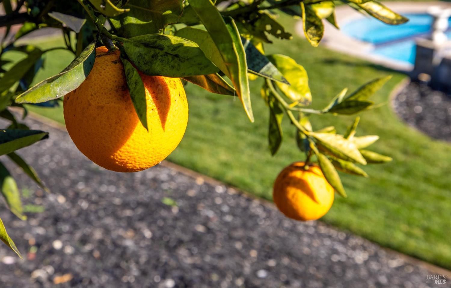 Detail Gallery Image 68 of 73 For 685 Elderberry Loop, Vacaville,  CA 95688 - 5 Beds | 4/1 Baths