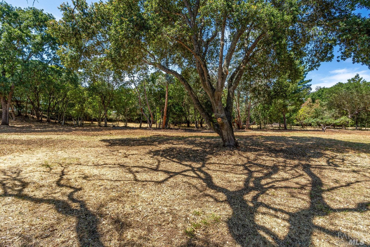 Detail Gallery Image 23 of 30 For 0 Bridgewood Dr, Santa Rosa,  CA 95409 - – Beds | – Baths