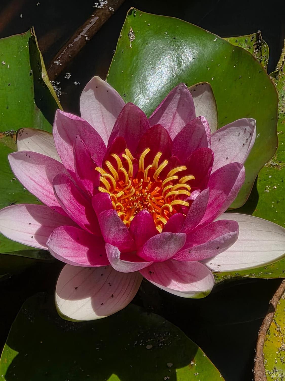 Detail Gallery Image 23 of 45 For 13333 Low Gap Rd, Ukiah,  CA 95482 - 5 Beds | 2/1 Baths