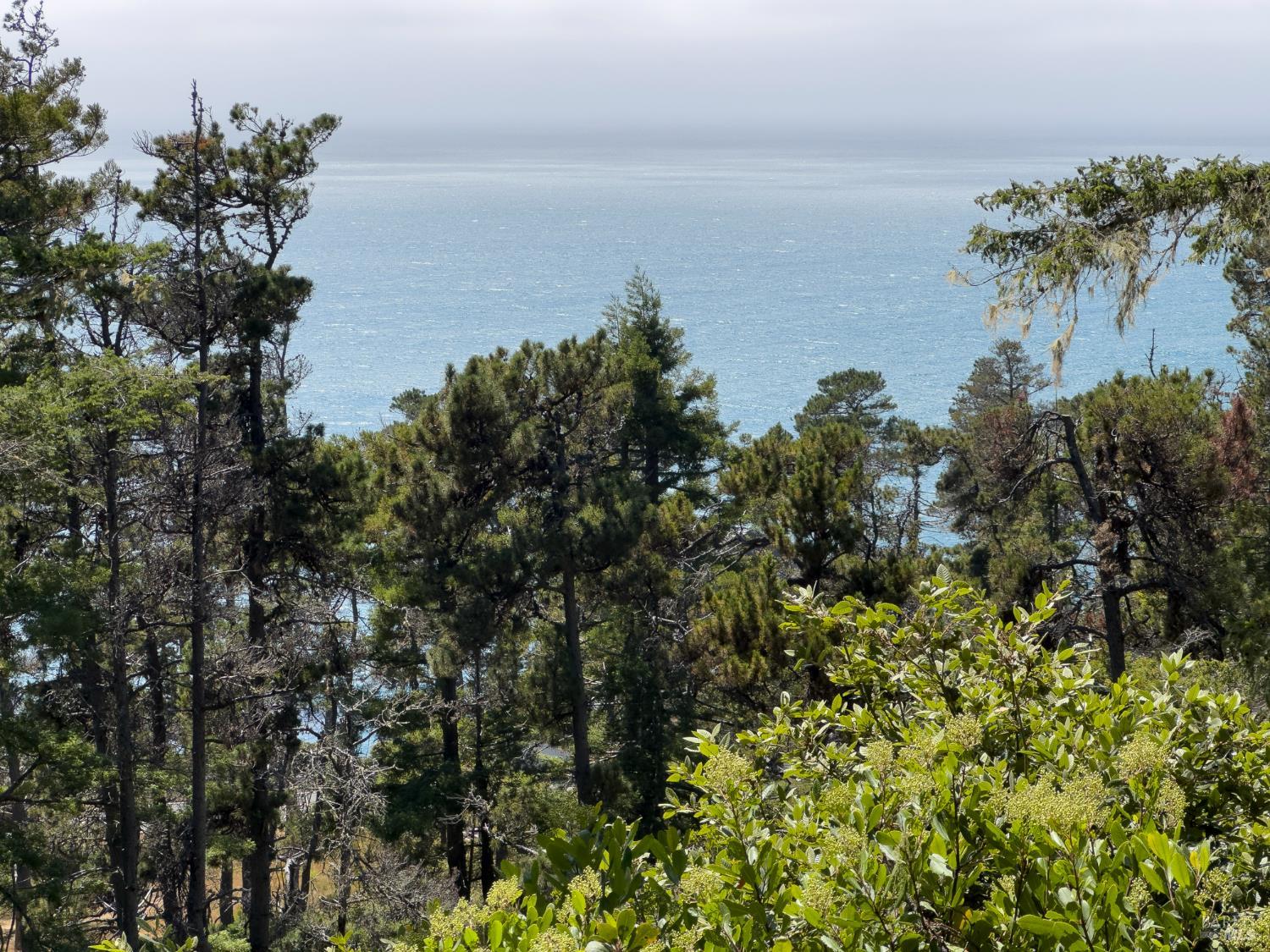 Detail Gallery Image 20 of 66 For 46900 Gypsy Flat Rd, Gualala,  CA 95445 - 2 Beds | 2 Baths