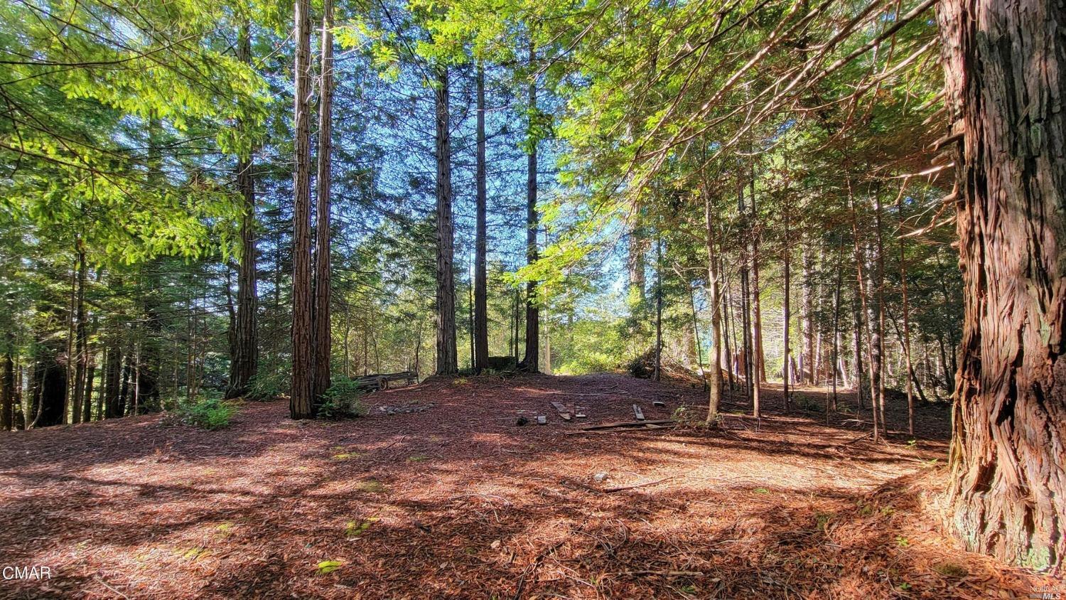 Detail Gallery Image 12 of 28 For 12301 Docker Hill Rd, Comptche,  CA 95427 - – Beds | – Baths