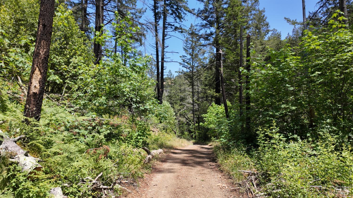 Detail Gallery Image 22 of 29 For 2095 Mark West Springs Rd, Santa Rosa,  CA 95404 - – Beds | – Baths