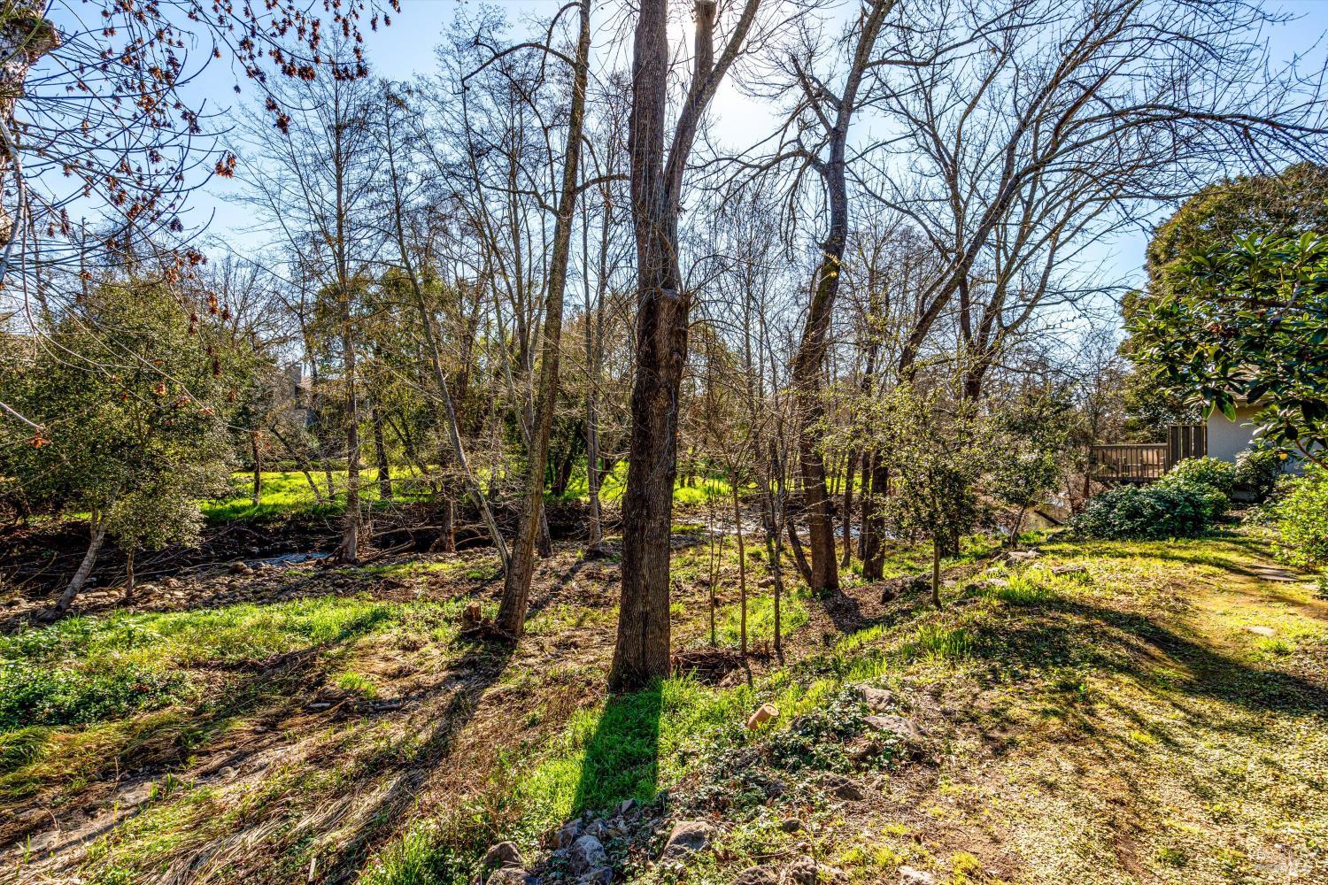 Detail Gallery Image 59 of 73 For 162 Bonnie Brook Dr, Napa,  CA 94558 - 2 Beds | 2 Baths
