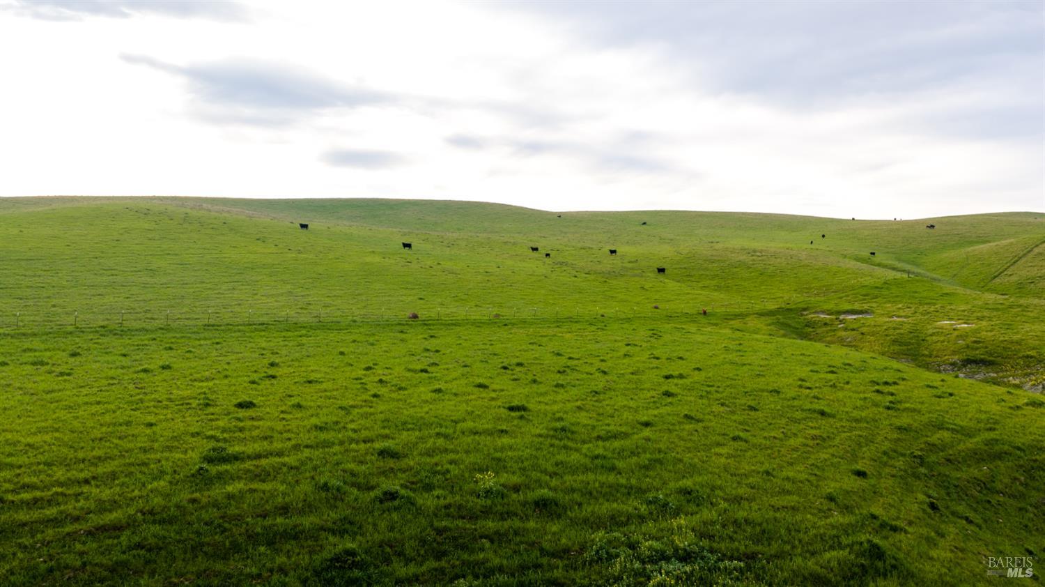 Detail Gallery Image 20 of 44 For 8050 Bitterwater Rd, Shandon,  CA 93461 - 3 Beds | 1 Baths