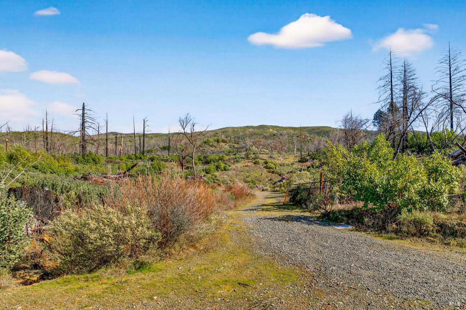 Detail Gallery Image 21 of 31 For 13952 White Rock Canyon Rd, Upper Lake,  CA 95485 - – Beds | – Baths