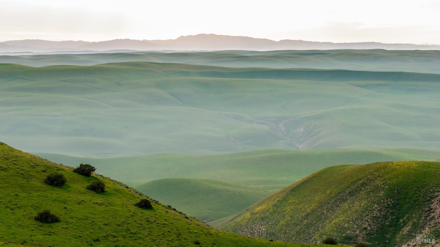 Detail Gallery Image 25 of 44 For 8050 Bitterwater Rd, Shandon,  CA 93461 - 3 Beds | 1 Baths