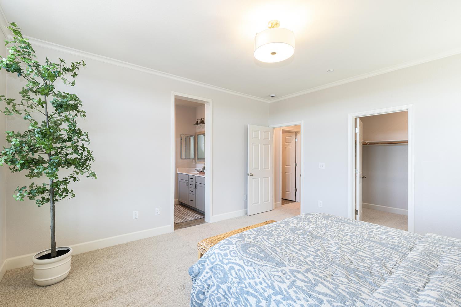 Detail Gallery Image 22 of 57 For 417 Jacquelyn Ln, Petaluma,  CA 94952 - 3 Beds | 2/1 Baths