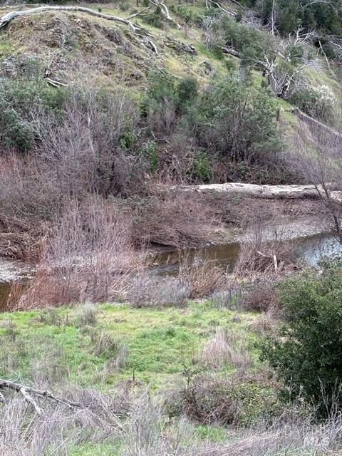 Detail Gallery Image 4 of 4 For 12803 Tomki Rd, Redwood Valley,  CA 95470 - – Beds | – Baths