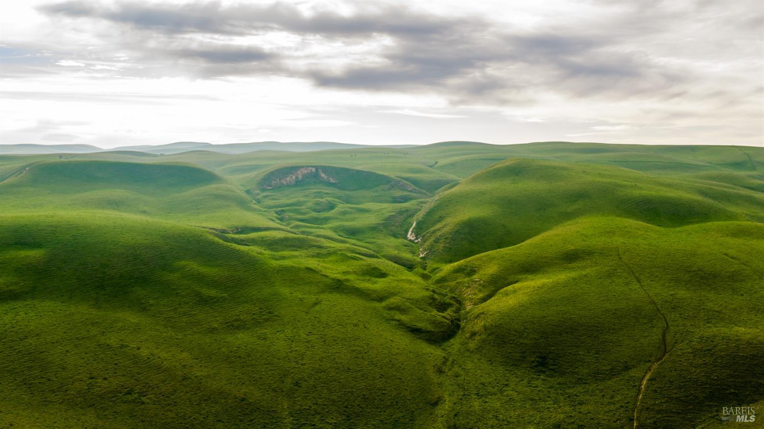 Detail Gallery Image 23 of 44 For 8050 Bitterwater Rd, Shandon,  CA 93461 - 3 Beds | 1 Baths