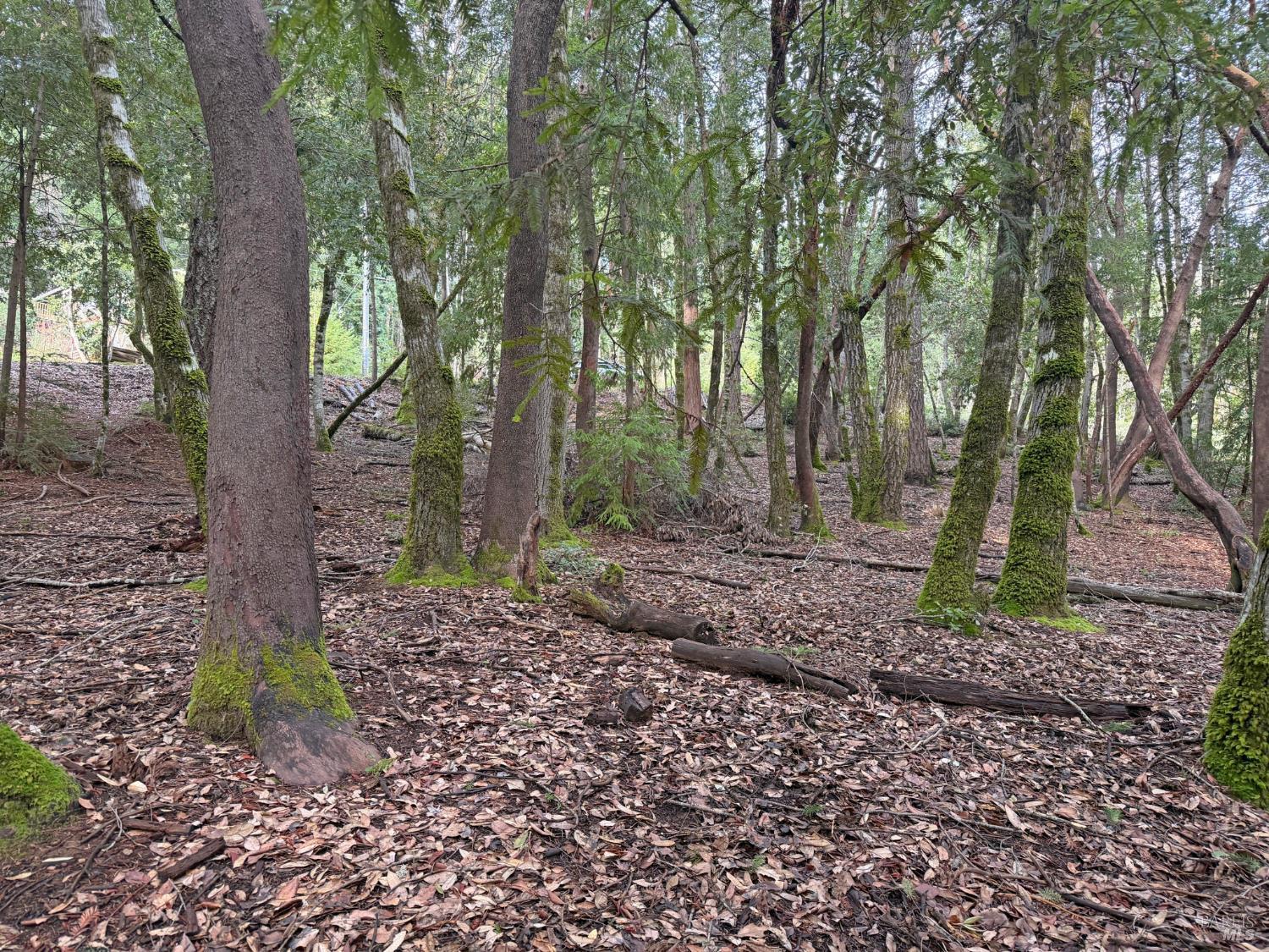 Detail Gallery Image 4 of 10 For 27369 Bear Dr, Willits,  CA 95490 - – Beds | – Baths