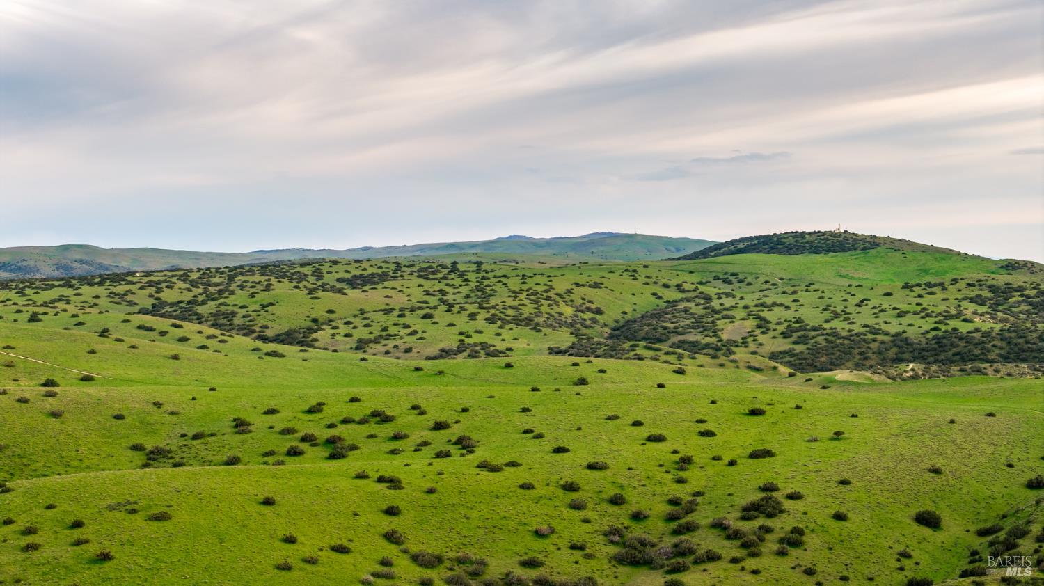 Detail Gallery Image 30 of 44 For 8050 Bitterwater Rd, Shandon,  CA 93461 - 3 Beds | 1 Baths