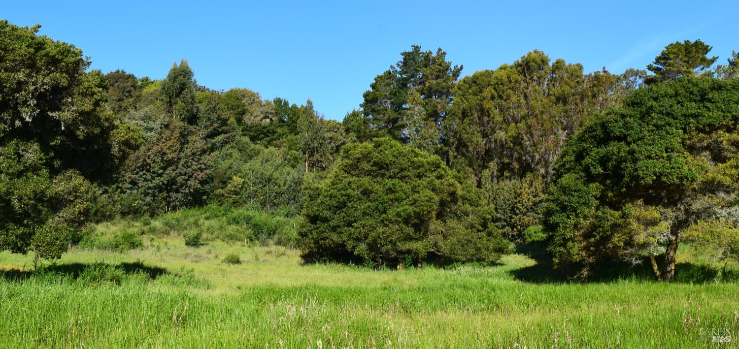 Detail Gallery Image 4 of 14 For 3800 Paradise Dr, Tiburon,  CA 94920 - – Beds | – Baths