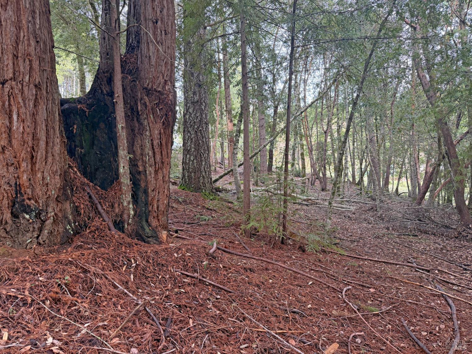 Front Image Thumbnail for BA326006967