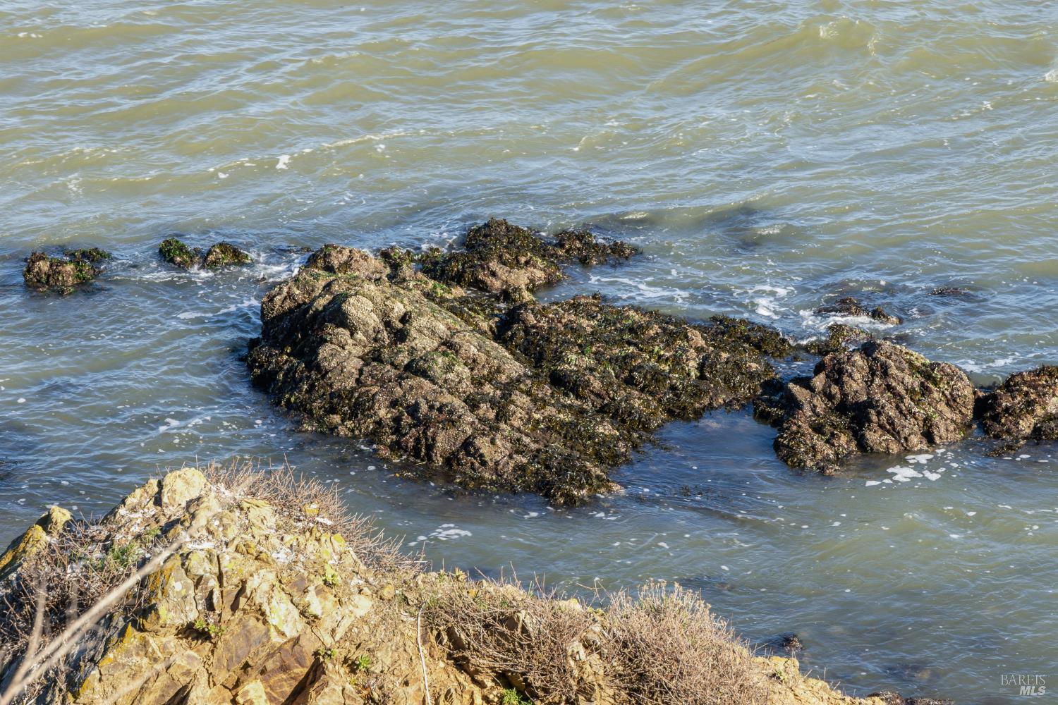 Detail Gallery Image 20 of 33 For 2800 Paradise Dr, Tiburon,  CA 94920 - – Beds | – Baths