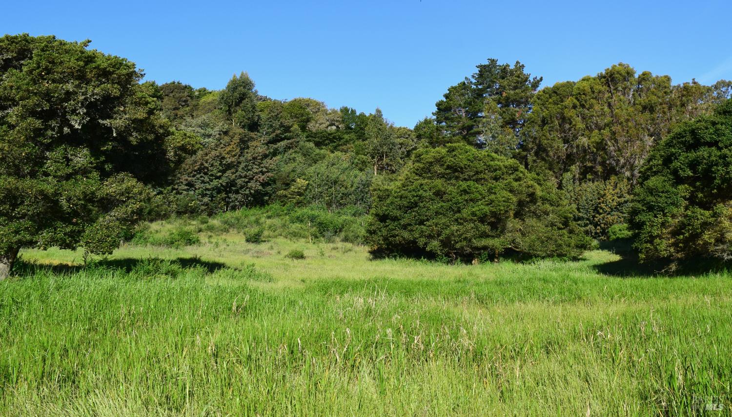 Detail Gallery Image 12 of 14 For 3800 Paradise Dr, Tiburon,  CA 94920 - – Beds | – Baths