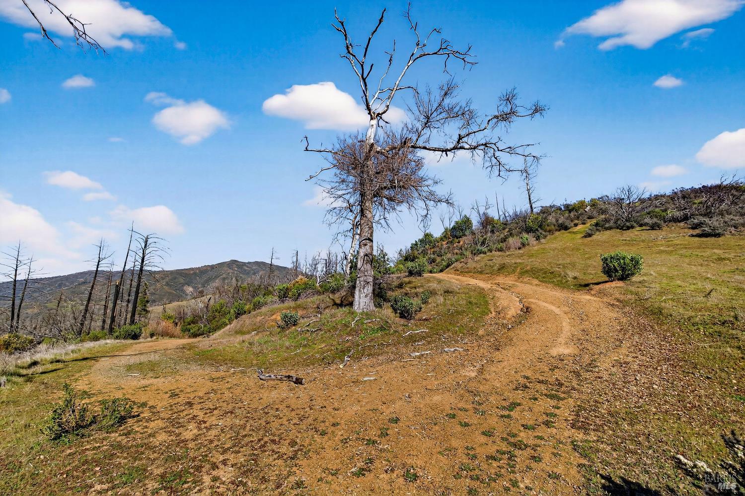 Detail Gallery Image 20 of 31 For 13952 White Rock Canyon Rd, Upper Lake,  CA 95485 - – Beds | – Baths