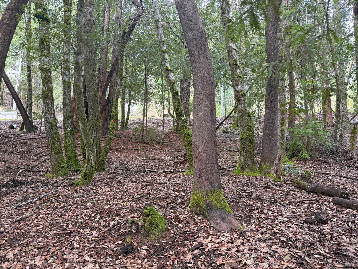 Detail Gallery Image 3 of 10 For 27369 Bear Dr, Willits,  CA 95490 - – Beds | – Baths