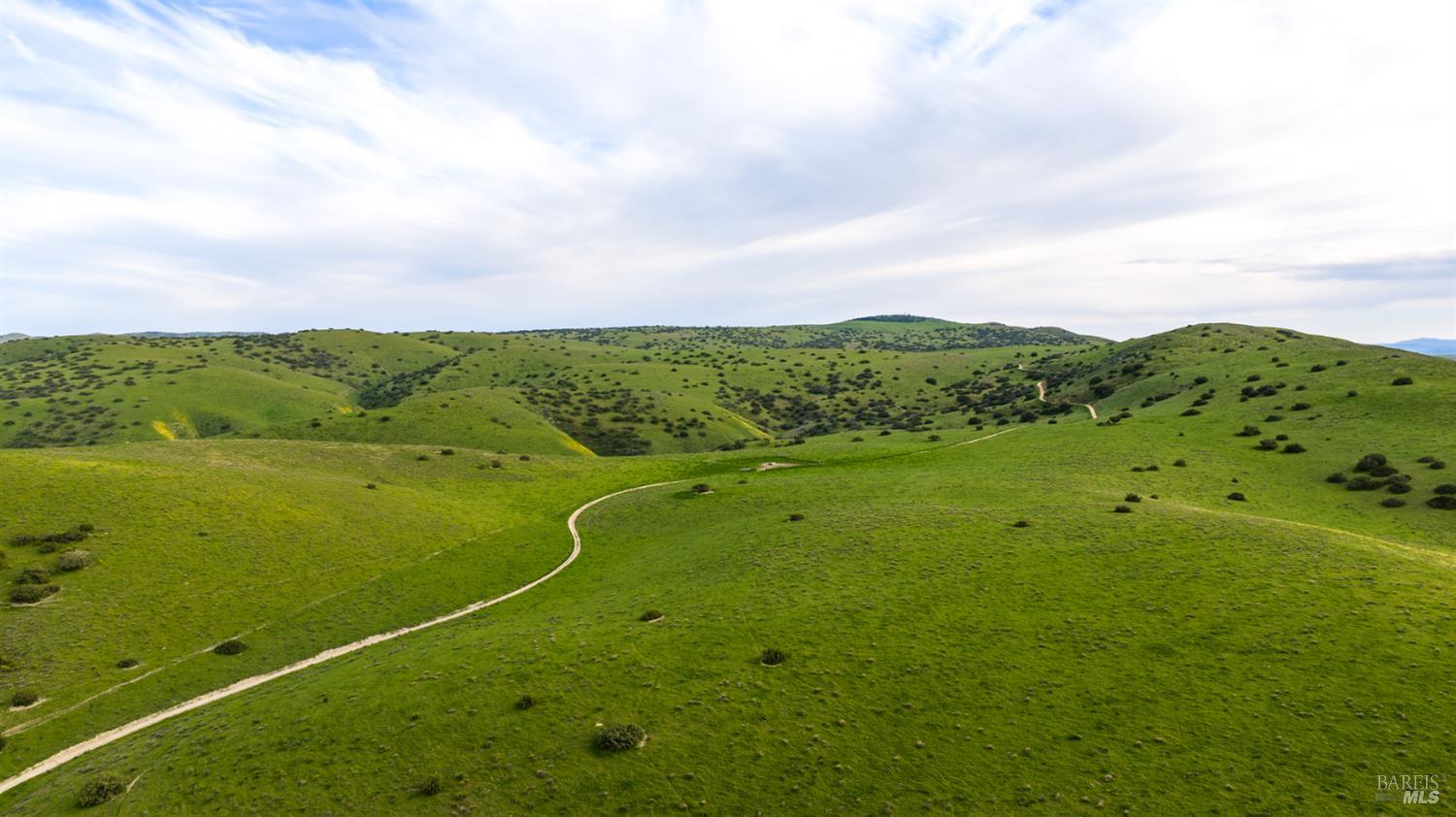 Detail Gallery Image 18 of 44 For 8050 Bitterwater Rd, Shandon,  CA 93461 - 3 Beds | 1 Baths