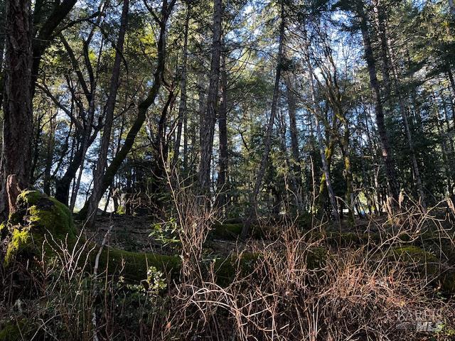 Detail Gallery Image 3 of 7 For 24419 Cypress Dr, Willits,  CA 95490 - – Beds | – Baths