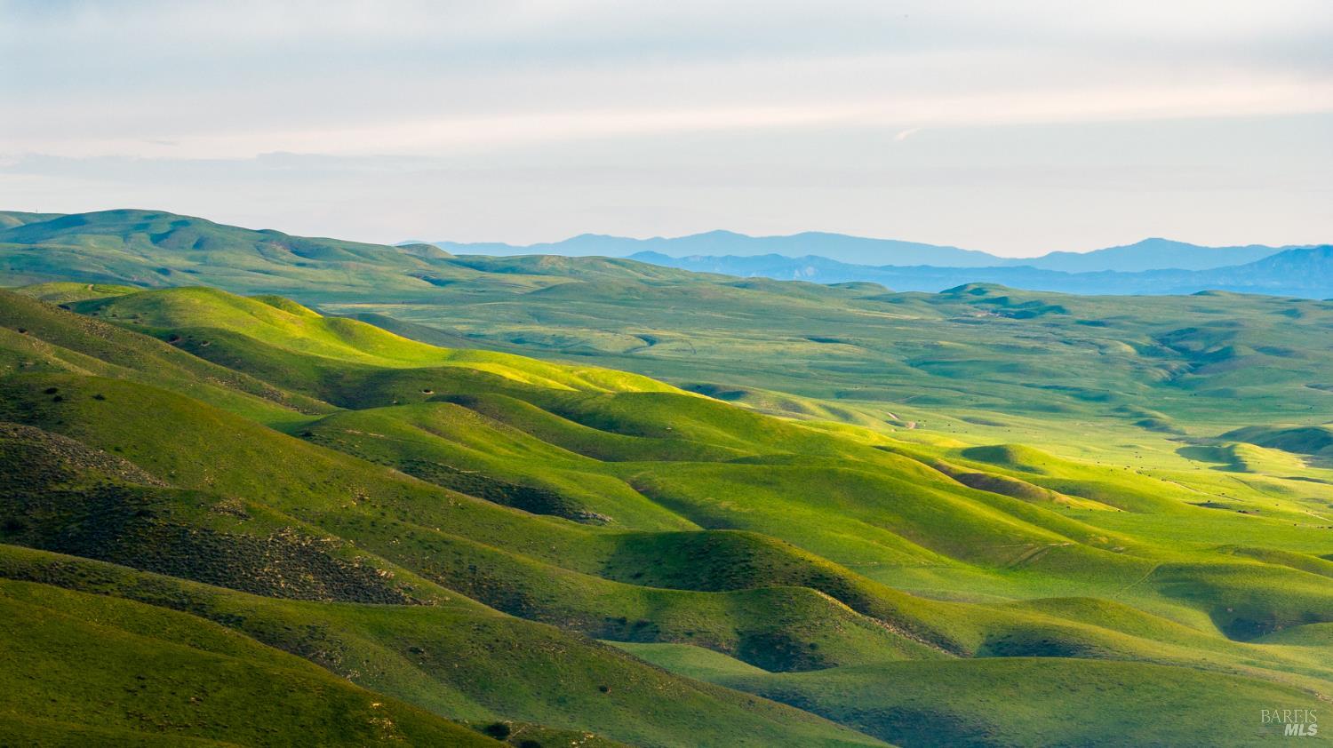 Detail Gallery Image 42 of 44 For 8050 Bitterwater Rd, Shandon,  CA 93461 - 3 Beds | 1 Baths