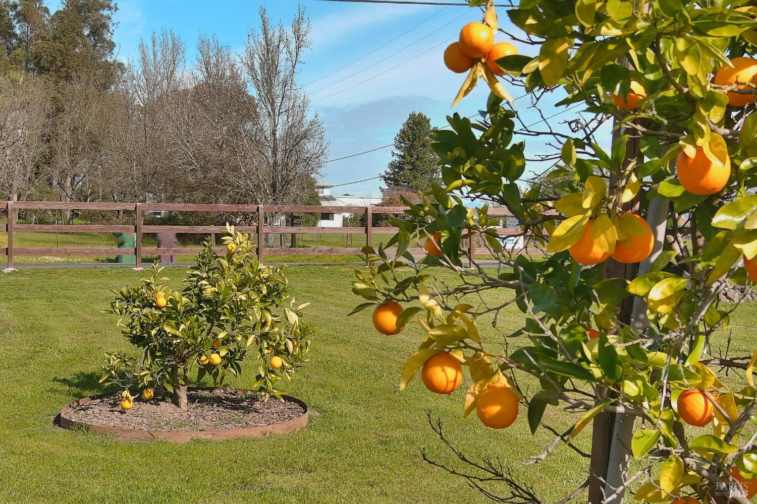 Detail Gallery Image 24 of 29 For 4782 Hall Rd, Santa Rosa,  CA 95401 - 3 Beds | 2/1 Baths