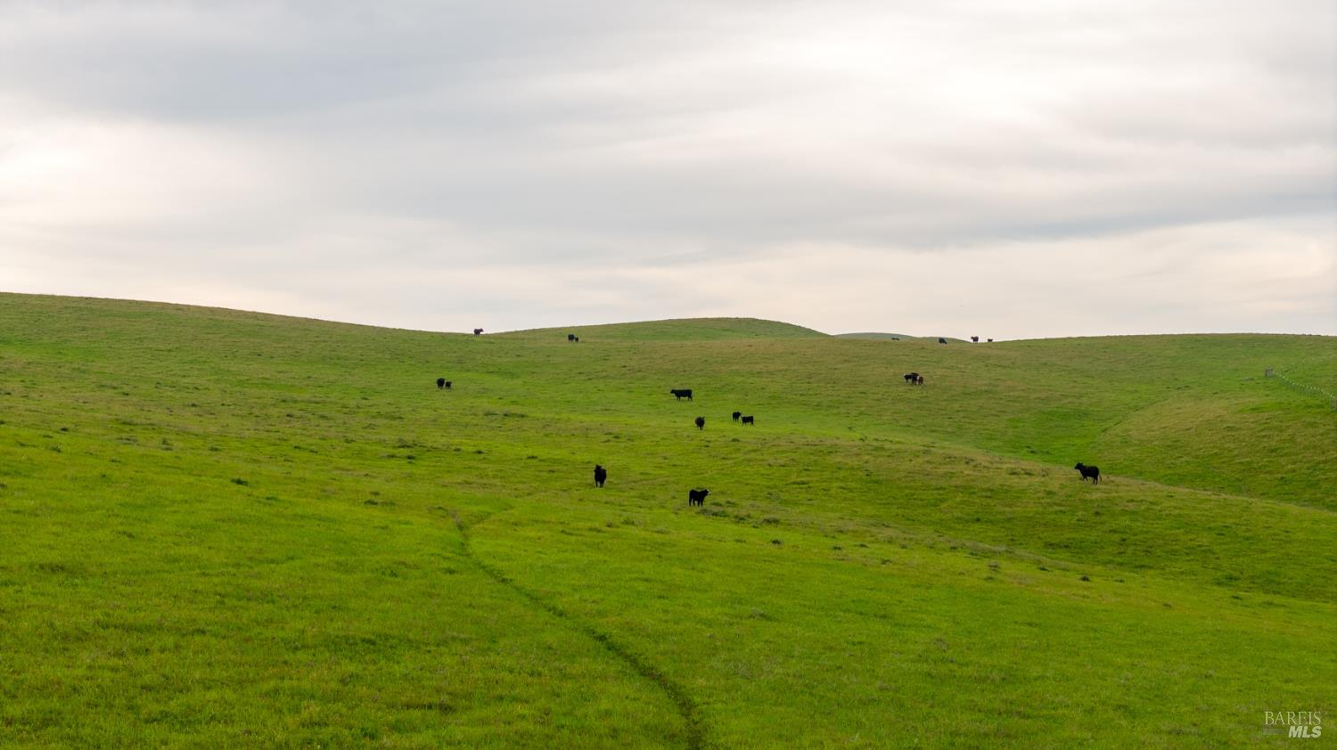 Detail Gallery Image 6 of 44 For 8050 Bitterwater Rd, Shandon,  CA 93461 - 3 Beds | 1 Baths
