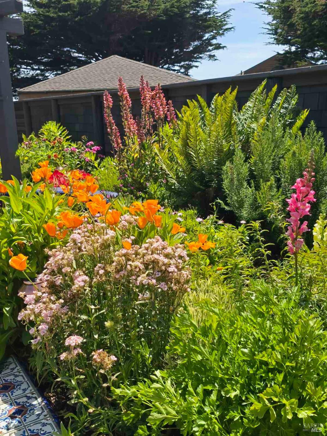 Detail Gallery Image 24 of 77 For 36939 Green Cove Dr, The Sea Ranch,  CA 95497 - 3 Beds | 3 Baths