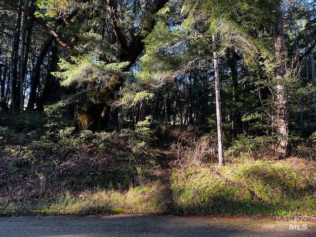 Front Image Thumbnail for BA326010541