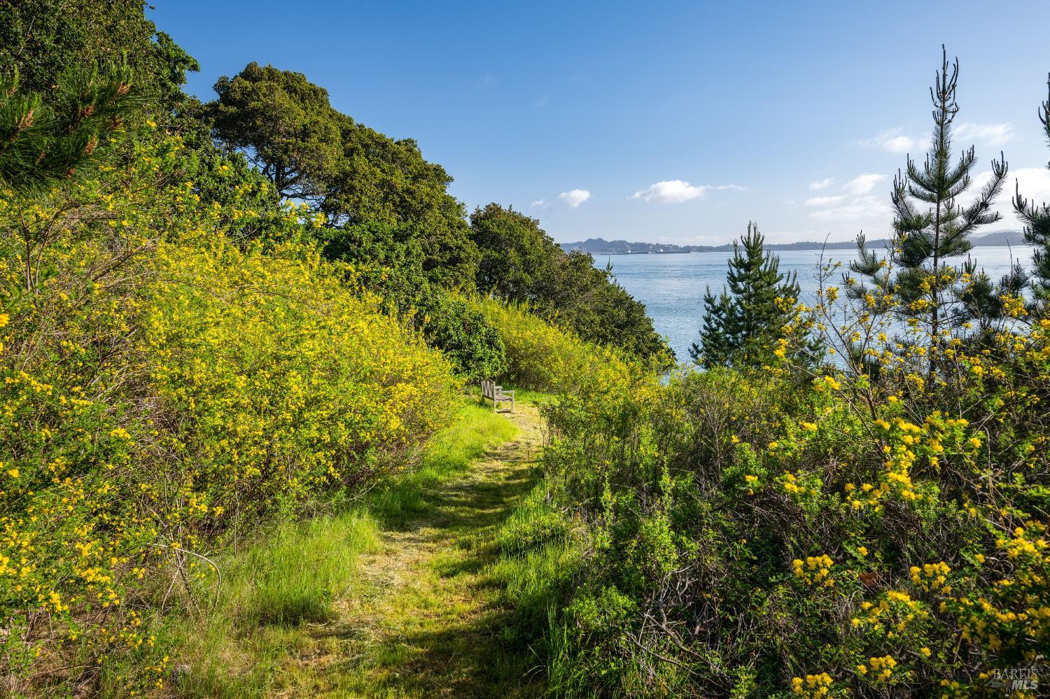 Detail Gallery Image 30 of 33 For 2800 Paradise Dr, Tiburon,  CA 94920 - – Beds | – Baths