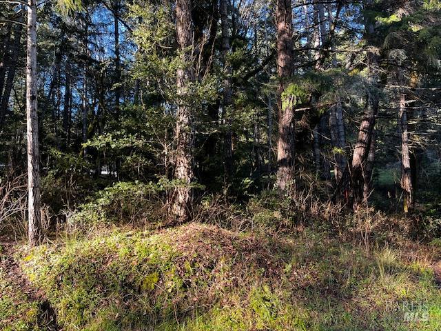 Detail Gallery Image 5 of 7 For 24419 Cypress Dr, Willits,  CA 95490 - – Beds | – Baths