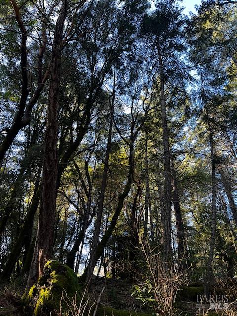 Detail Gallery Image 4 of 7 For 24419 Cypress Dr, Willits,  CA 95490 - – Beds | – Baths