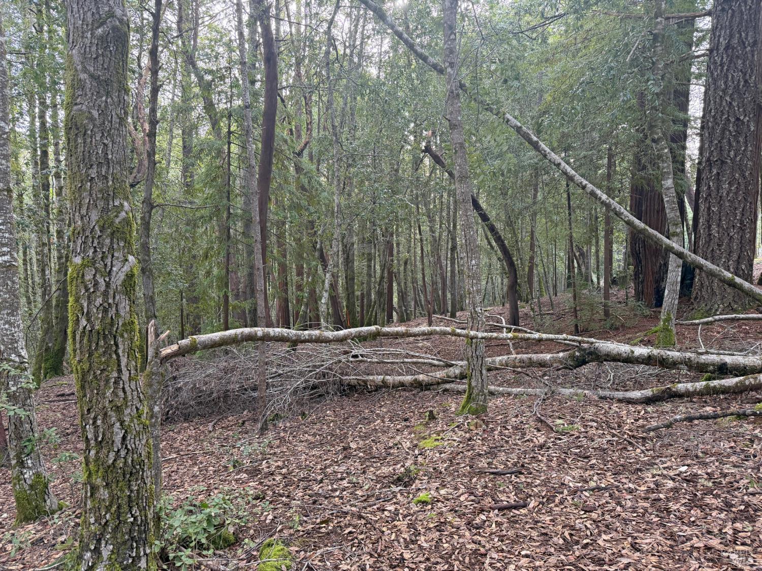 Detail Gallery Image 7 of 10 For 27369 Bear Dr, Willits,  CA 95490 - – Beds | – Baths