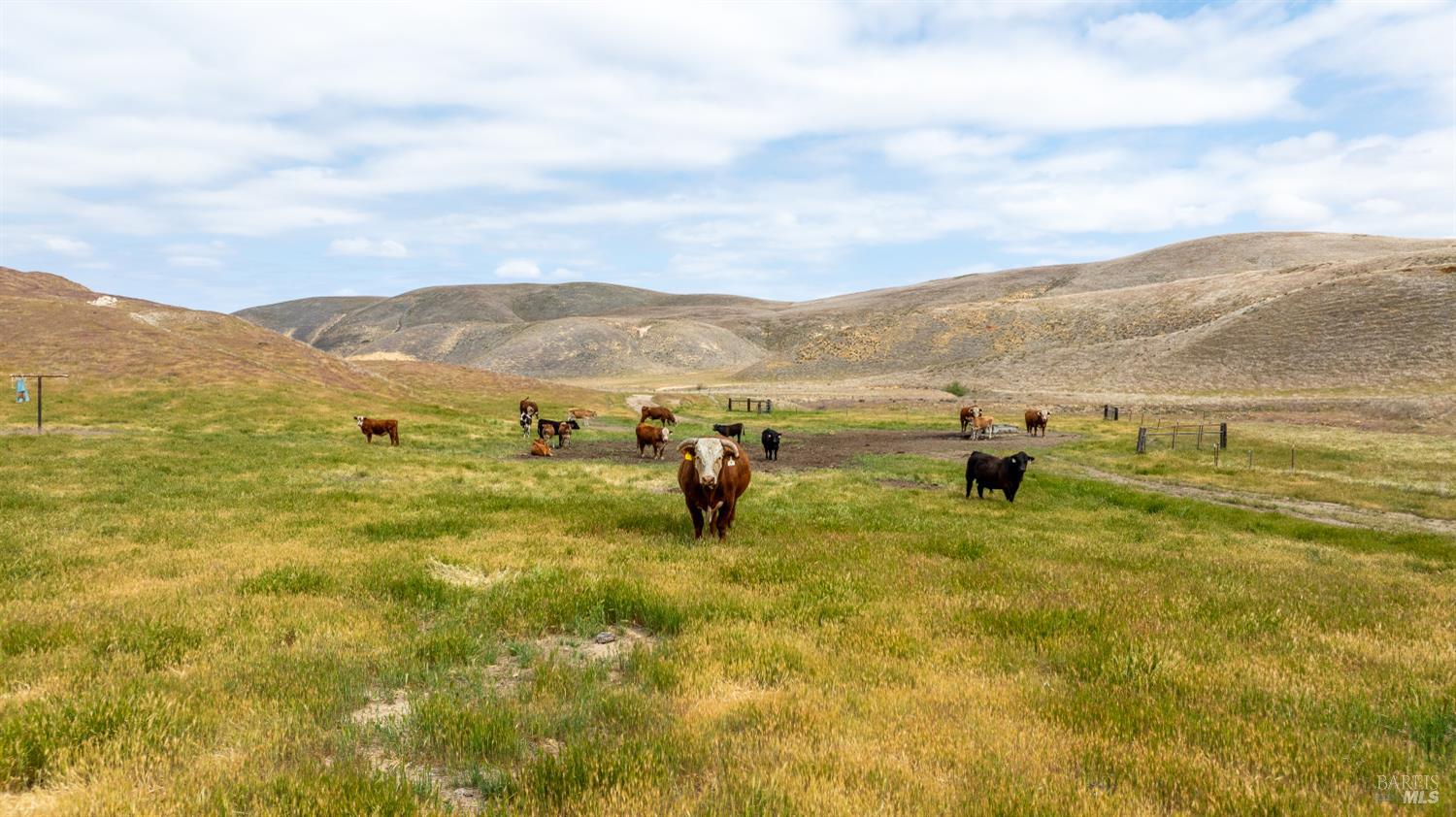 Detail Gallery Image 33 of 44 For 8050 Bitterwater Rd, Shandon,  CA 93461 - 3 Beds | 1 Baths
